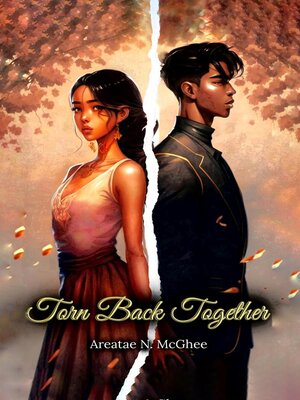 cover image of Torn Back Together